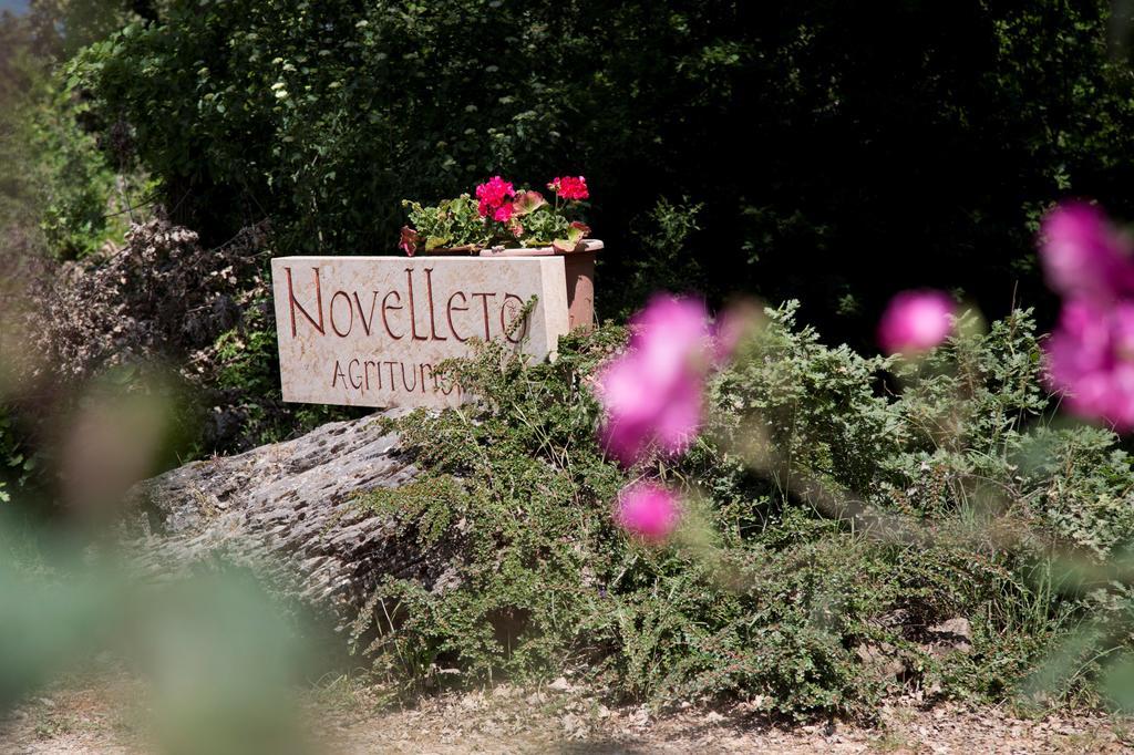 Novelleto Villa Monteriggioni Exterior photo