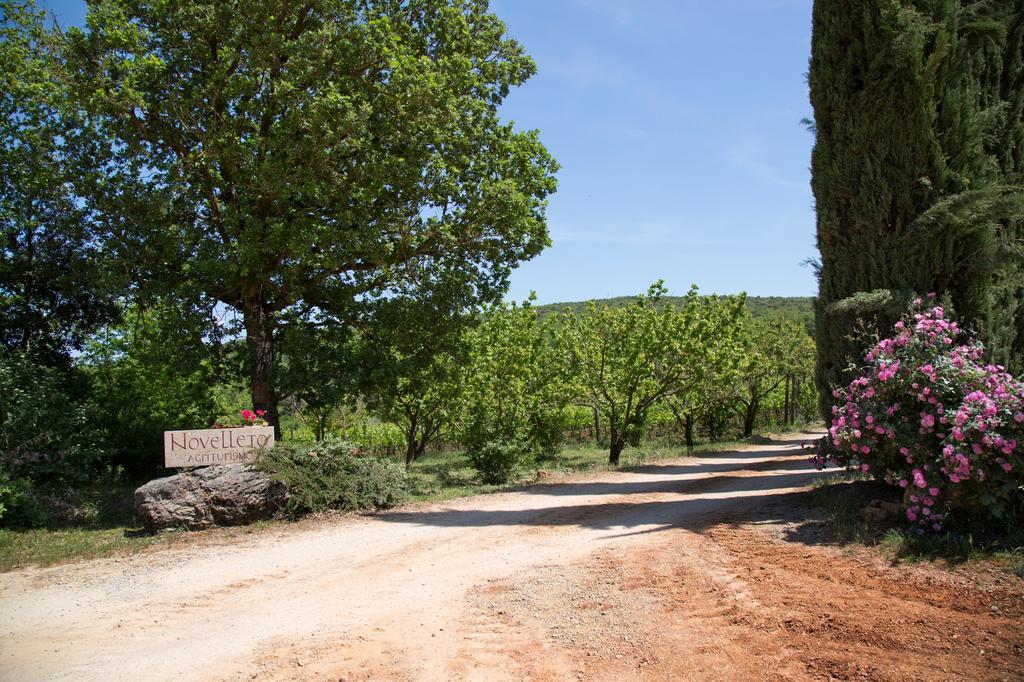 Novelleto Villa Monteriggioni Exterior photo